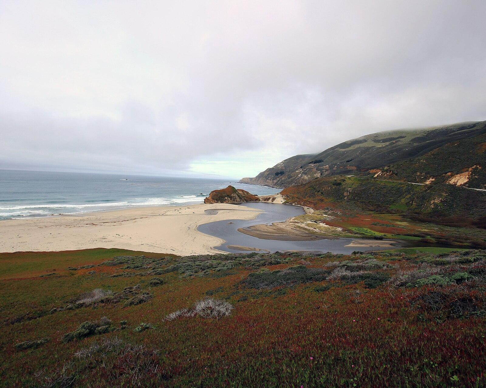 Central coast landscape
